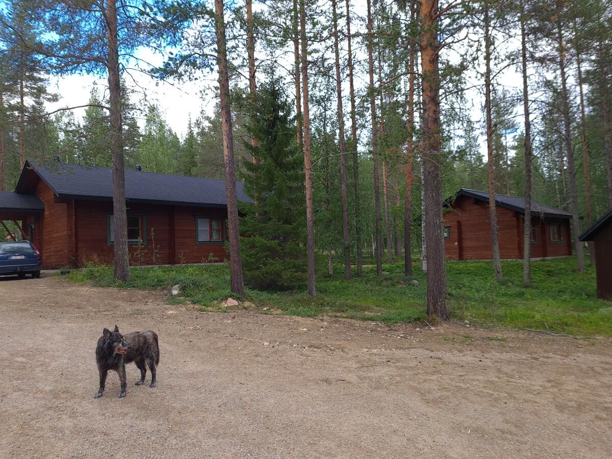 Хостелы Silver Fox Hostel Экясломполо